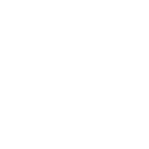 icon-l1